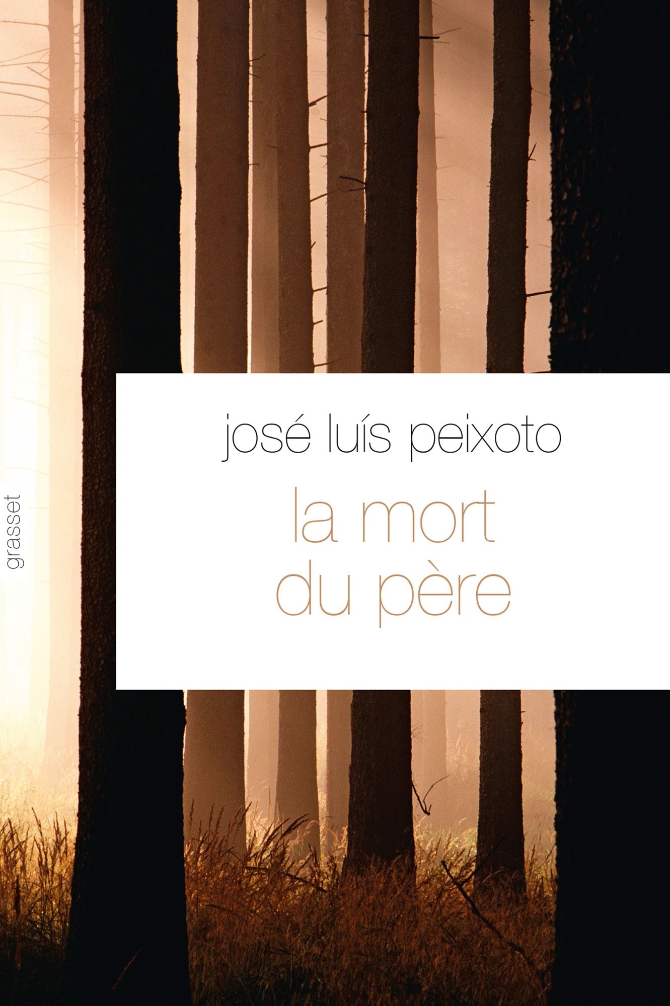 La mort du père: Traduit du portugais par François Rosso