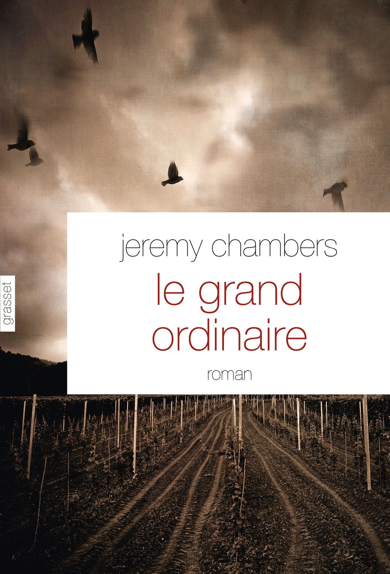 Le grand ordinaire: roman - traduit de l'anglais (Australie) par Brice Matthieussent