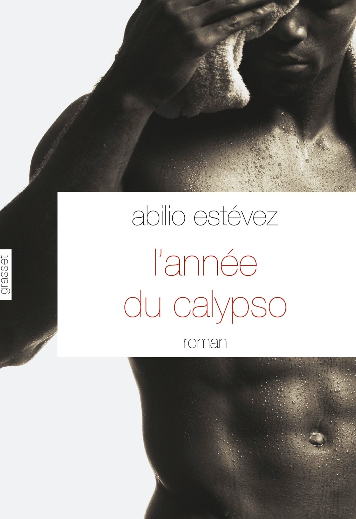 L'année du calypso: Roman - traduit de l'espagnol (Cuba) par Alice Seelow