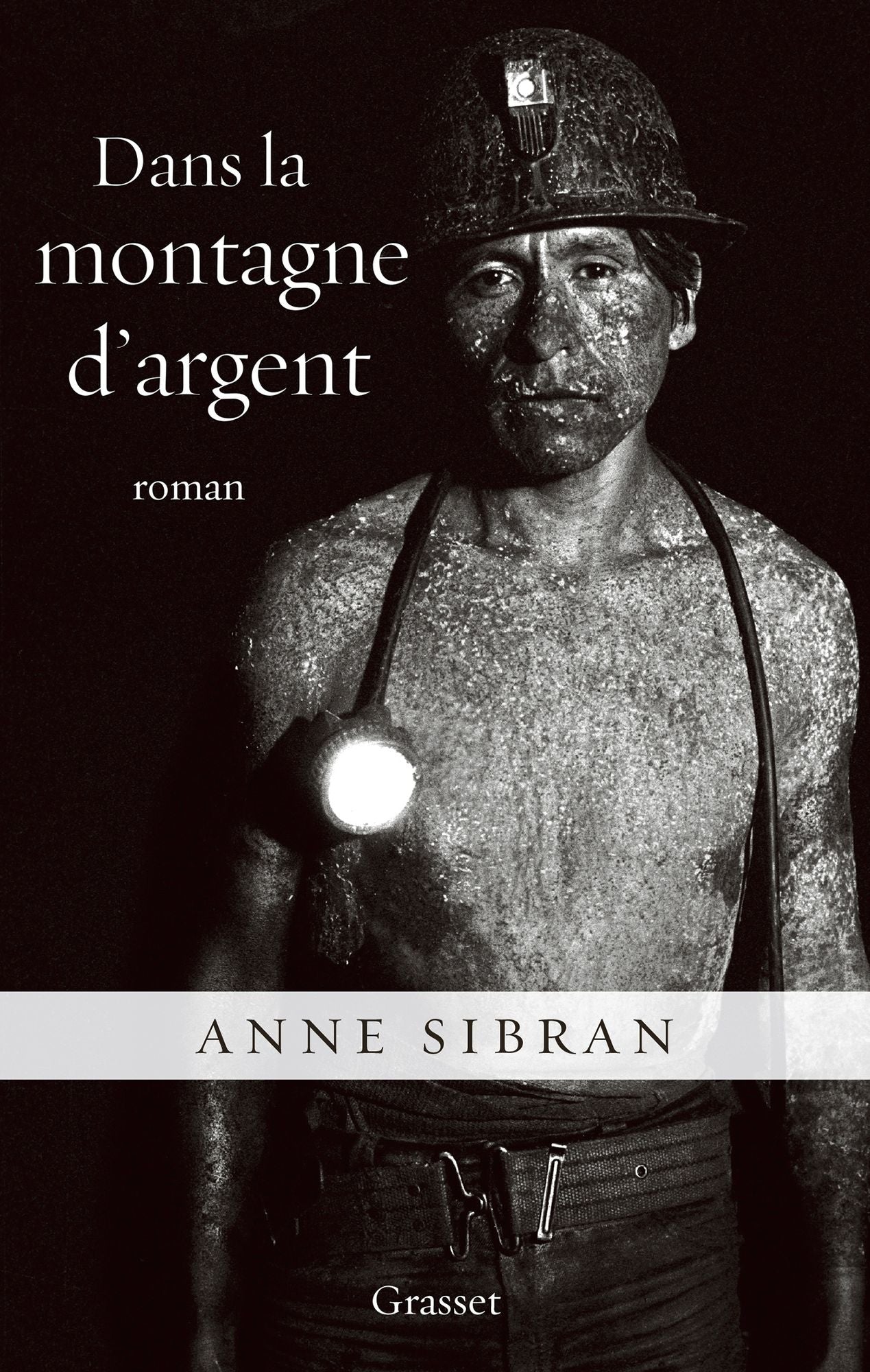 Dans la montagne d'argent: roman