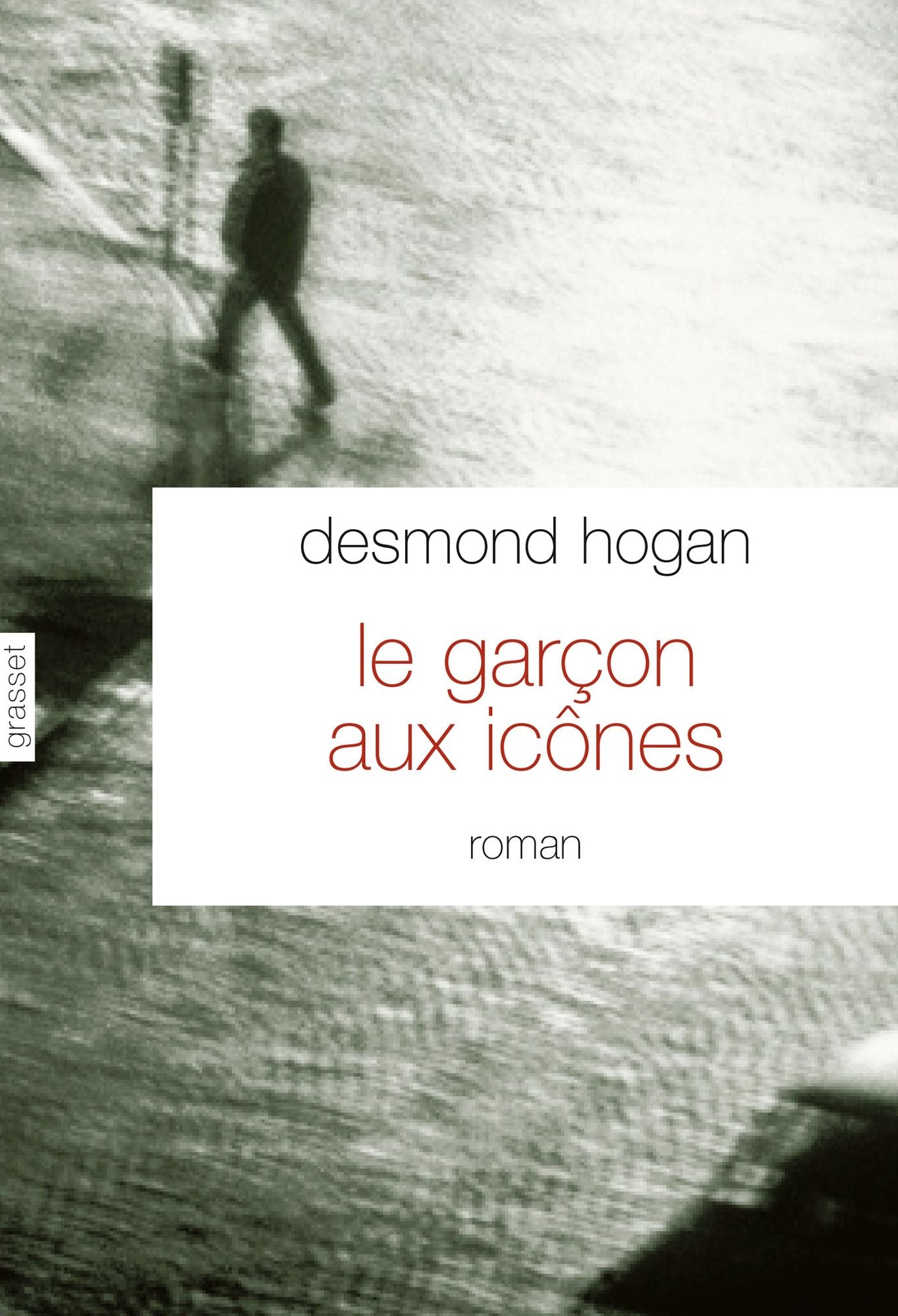 Le garçon aux icônes: roman - traduit de l'anglais (Irlande) par Pierre Demarty