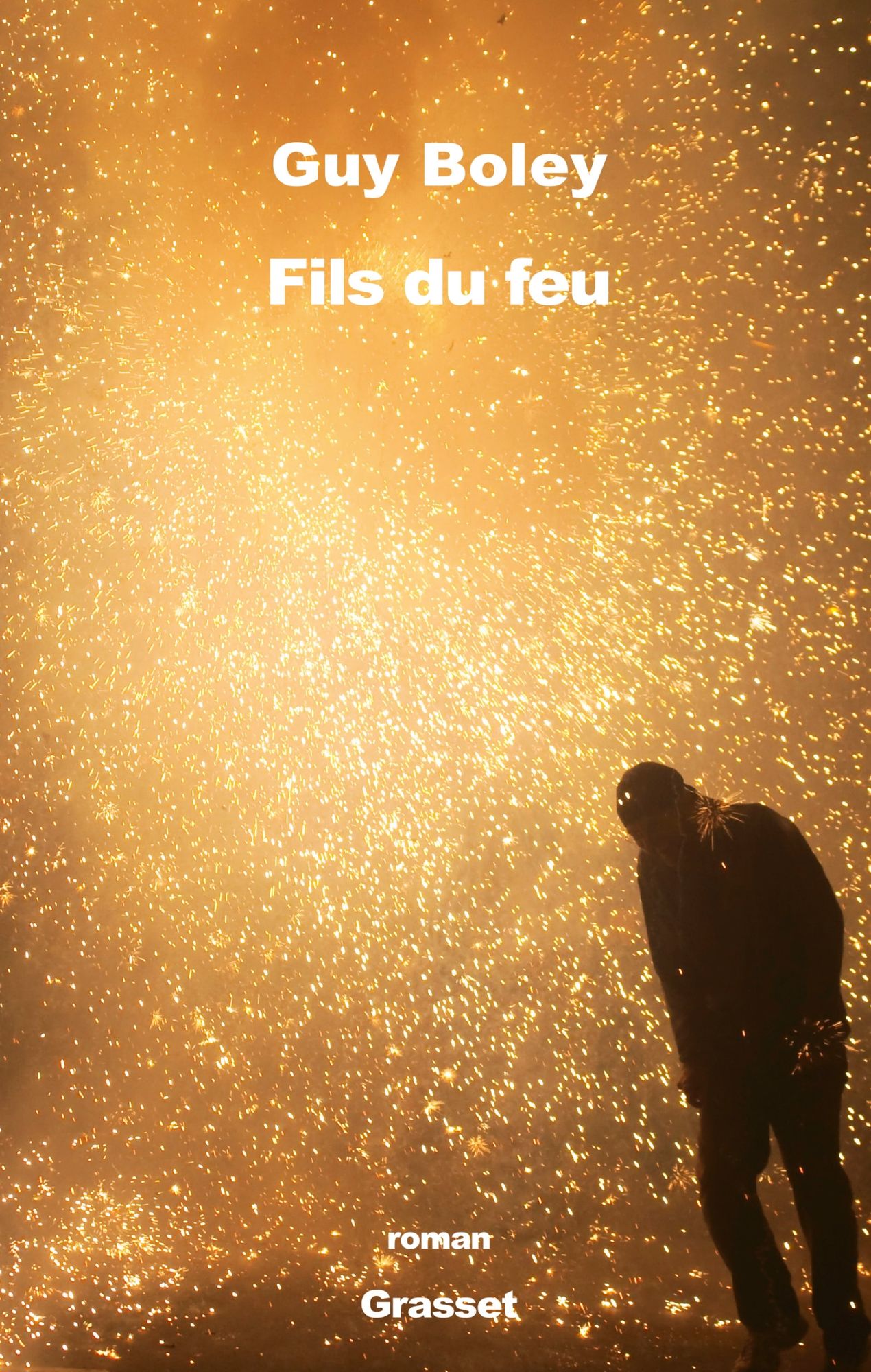 Fils du feu: roman