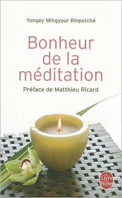Bonheur de la Meditation