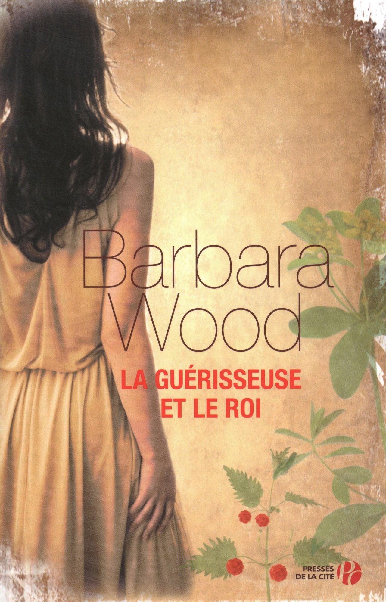 La guérisseuse et le roi