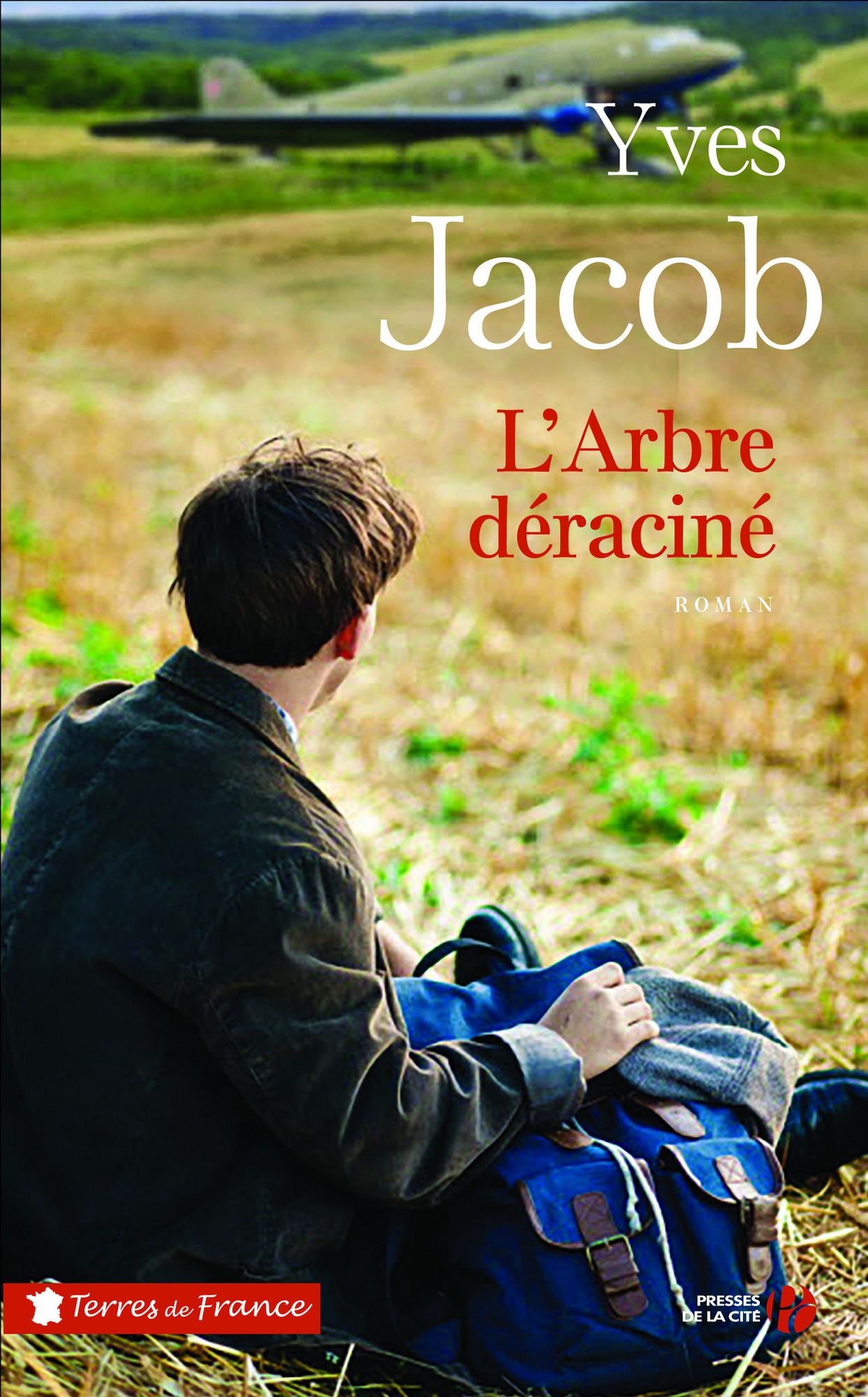 L'Arbre déraciné