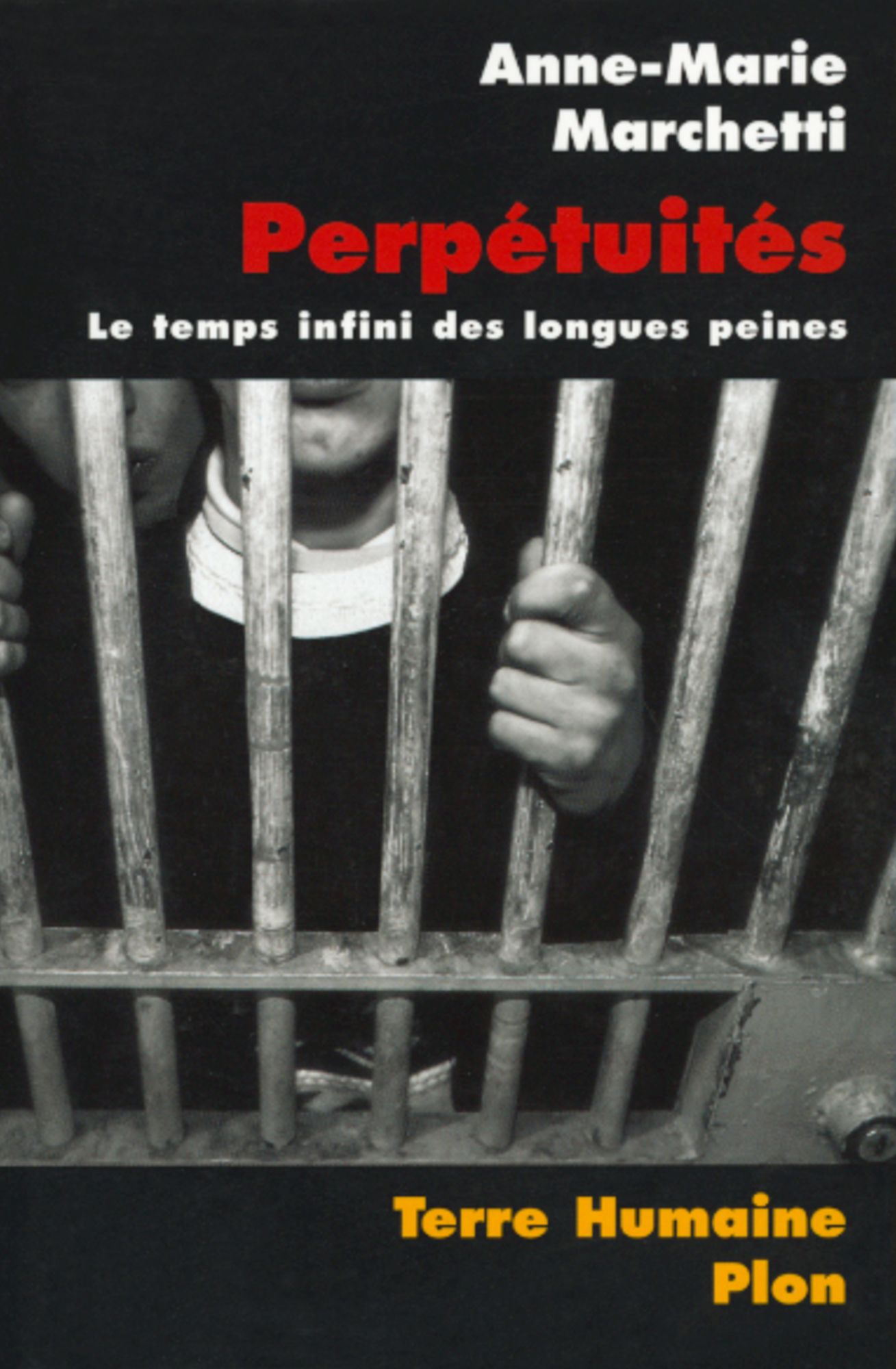 Perpétuités. Le temps infini des longues peines