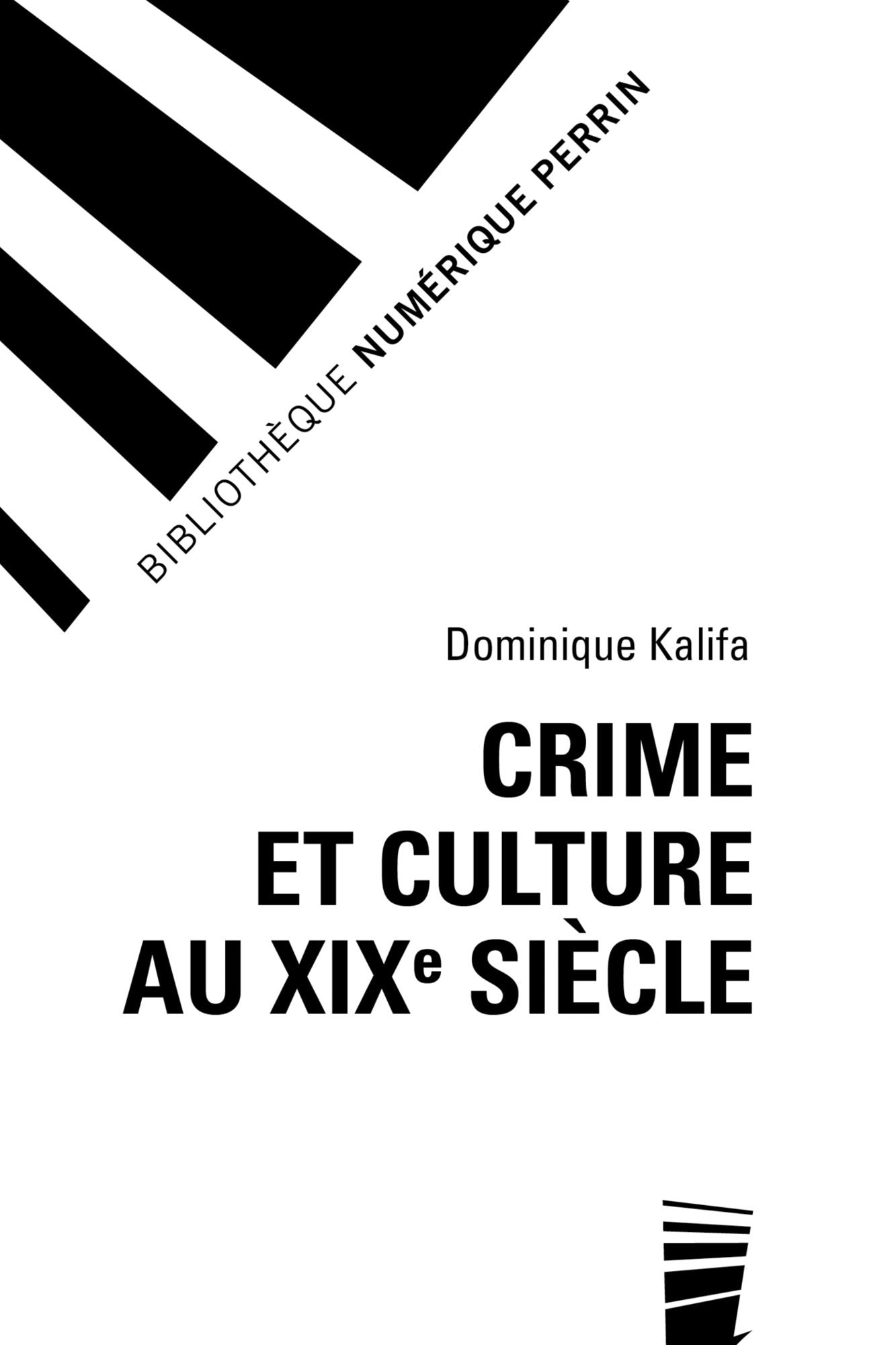 Crime et culture au XIXe siècle