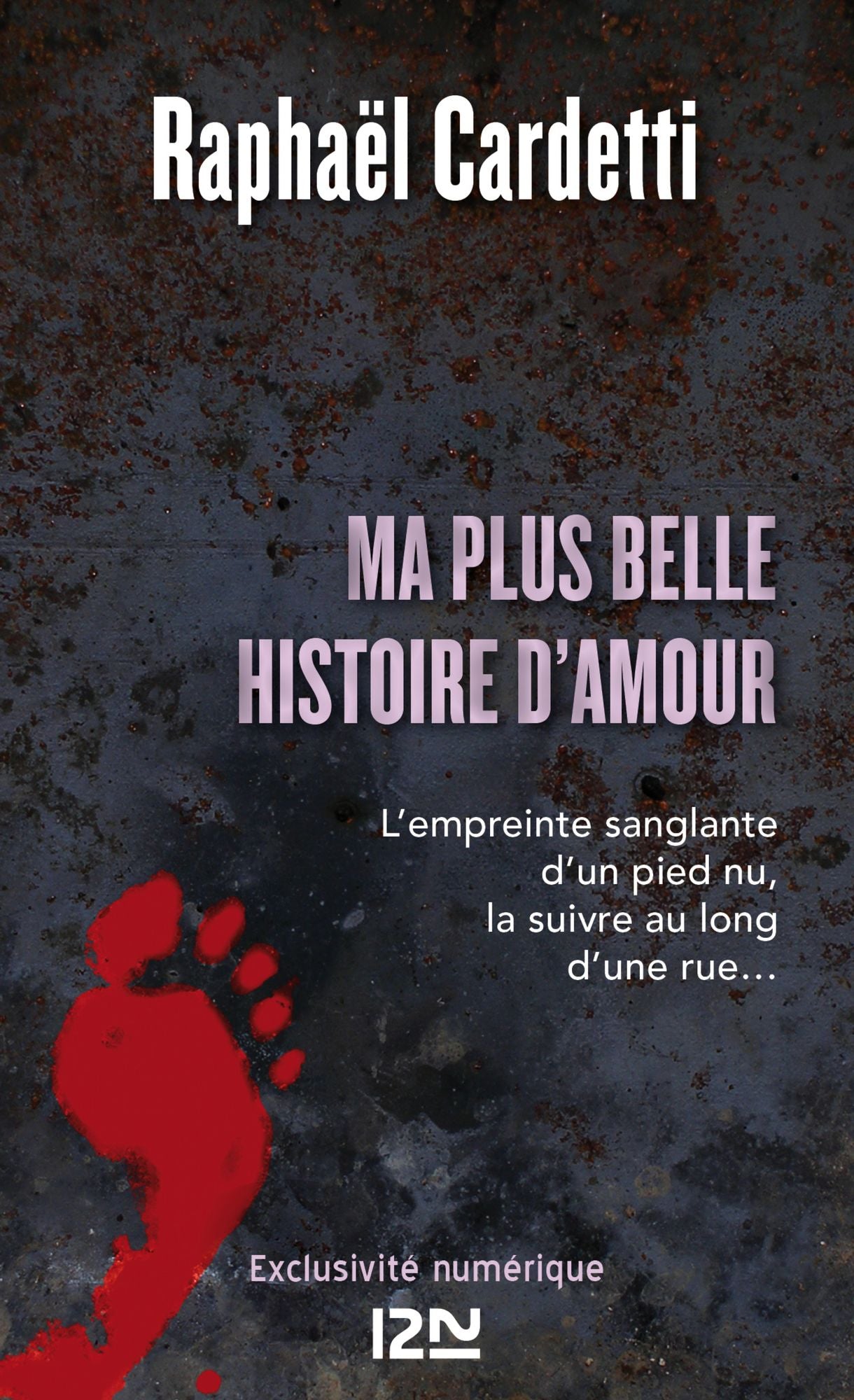 Ma plus belle histoire d'amour