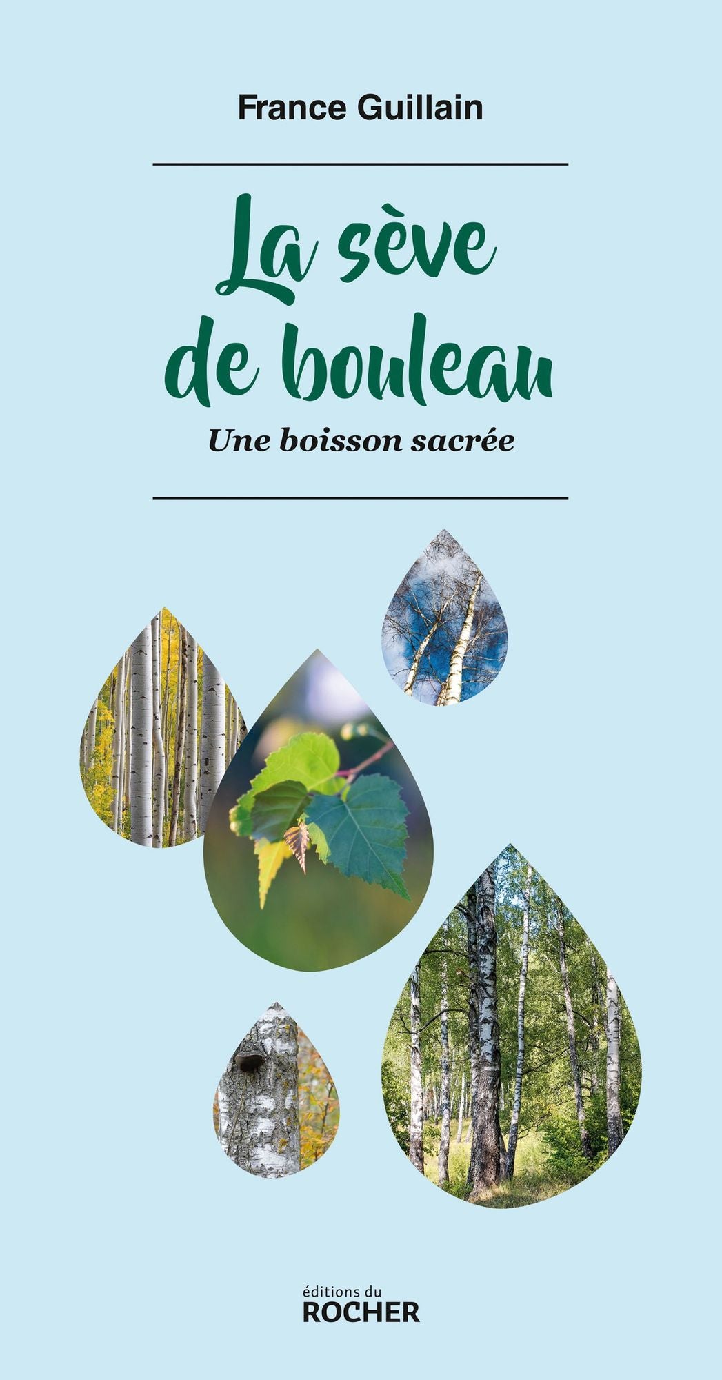 La sève de bouleau: Une boisson sacrée