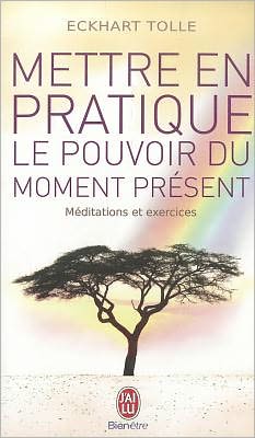 Mettre en pratique le pouvoir du moment (Practicing the Power of Now)
