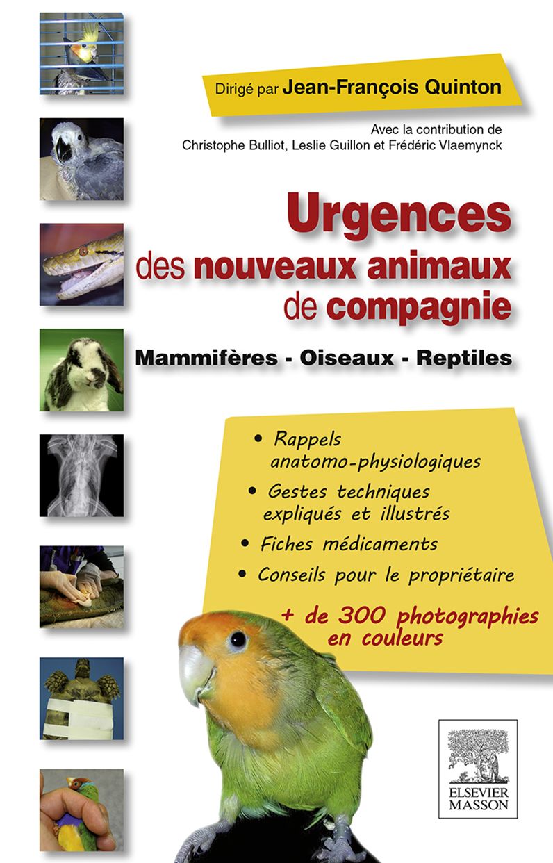 Urgences des nouveaux animaux de compagnie: Mammifères - Oiseaux - Reptiles