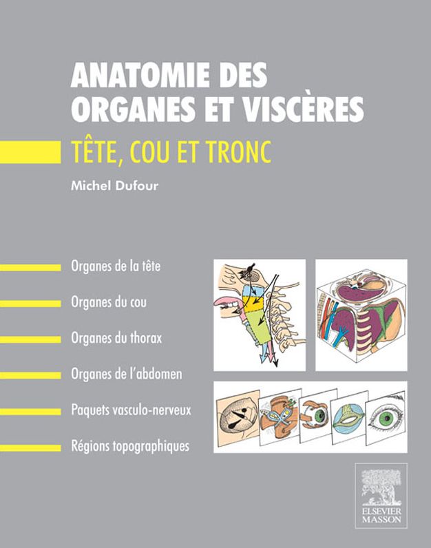Anatomie des organes et viscères: Tête, cou et tronc
