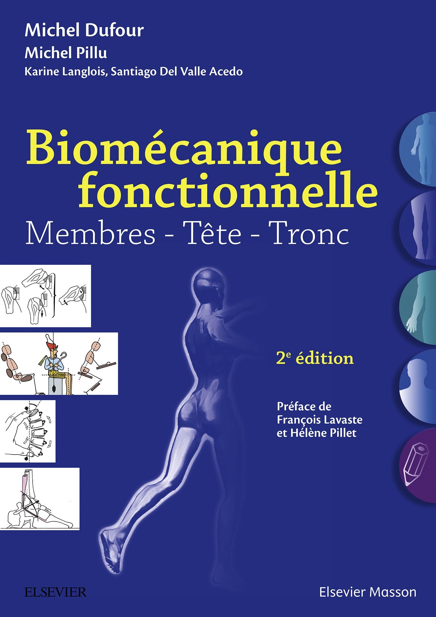 Biomécanique fonctionnelle: Membres - Tête - Tronc