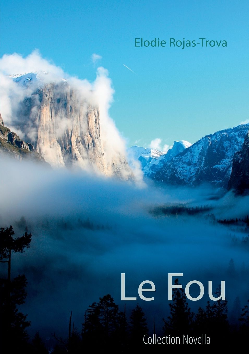 Le Fou