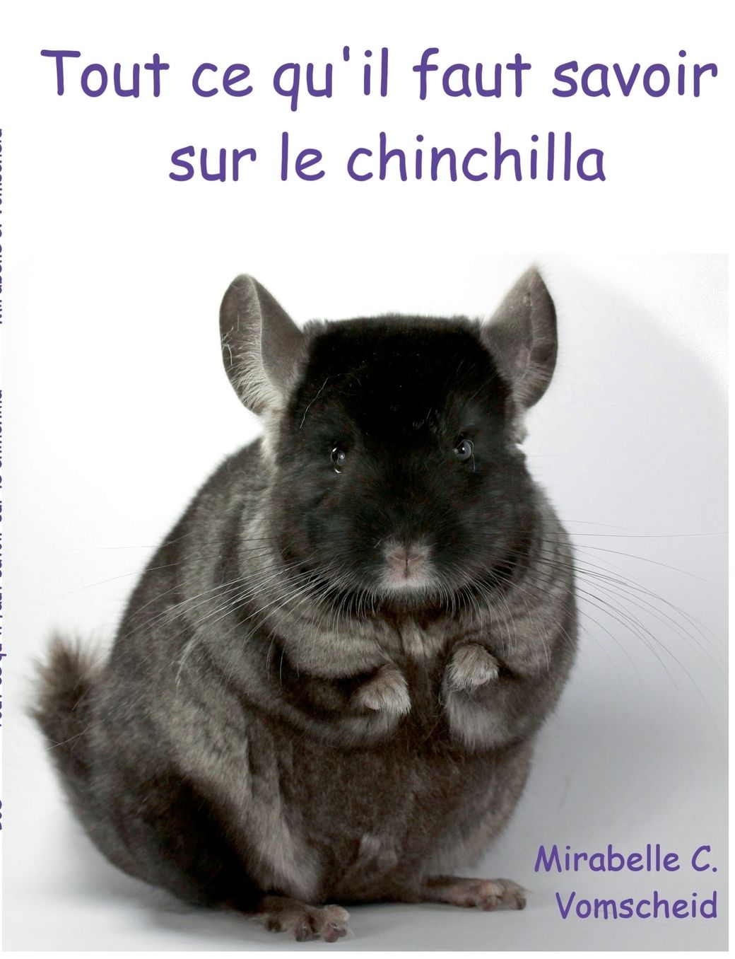 Tout ce qu'il faut savoir sur le chinchilla