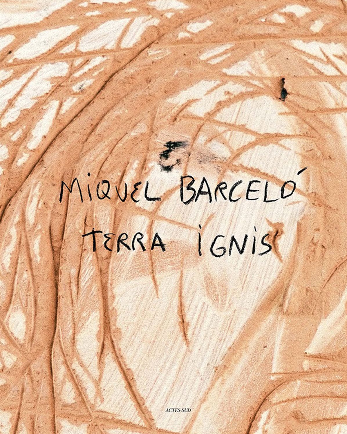 Miquel Barcelo: Terra Ignis