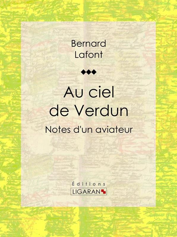 Au ciel de Verdun: Notes d'un aviateur