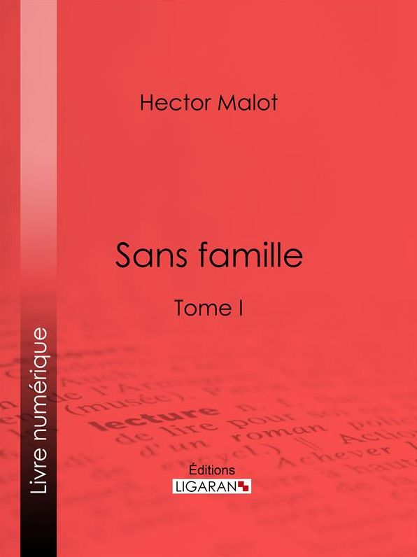 Sans famille: Tome I