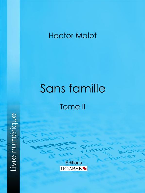 Sans famille: Tome II