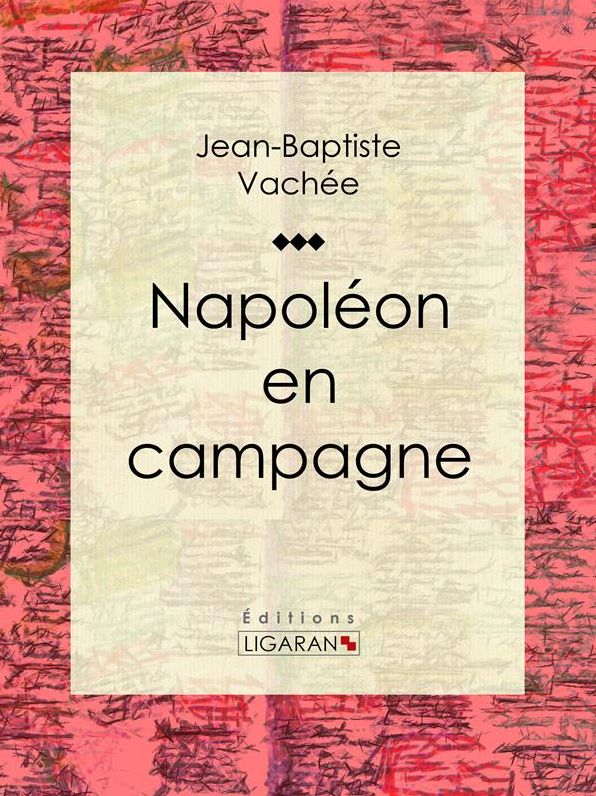 Napoléon en campagne