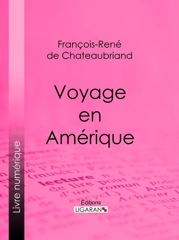 Voyage en Amérique