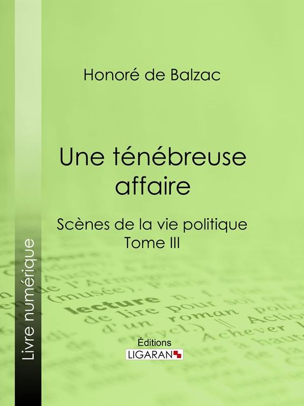 Une ténébreuse affaire: Scènes de la vie politique - Tome III