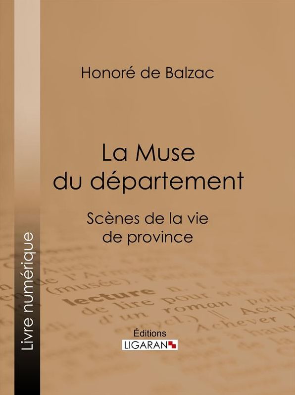La Muse du département: Scènes de la vie de province