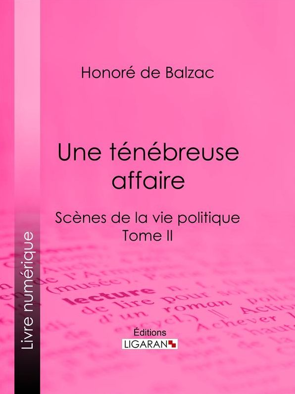 Une ténébreuse affaire: Scènes de la vie politique - Tome II