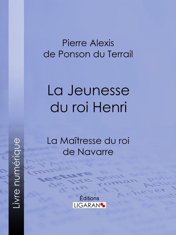 La Maîtresse du roi de Navarre: La Jeunesse du roi Henri
