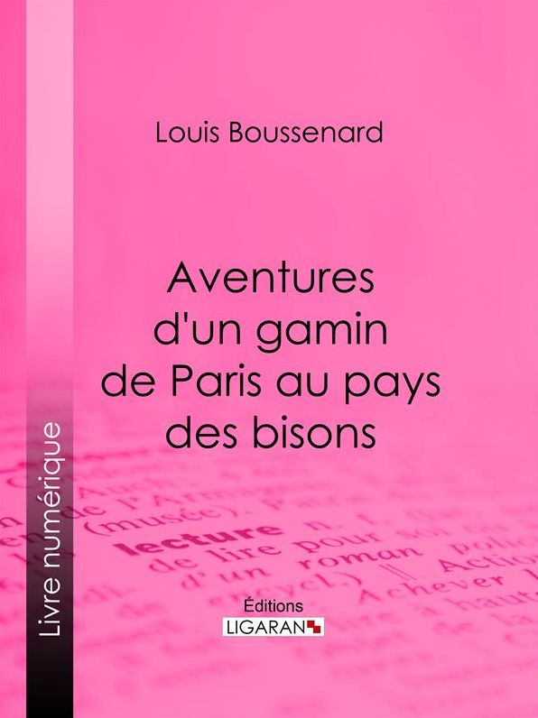Aventures d'un gamin de Paris au pays des bisons