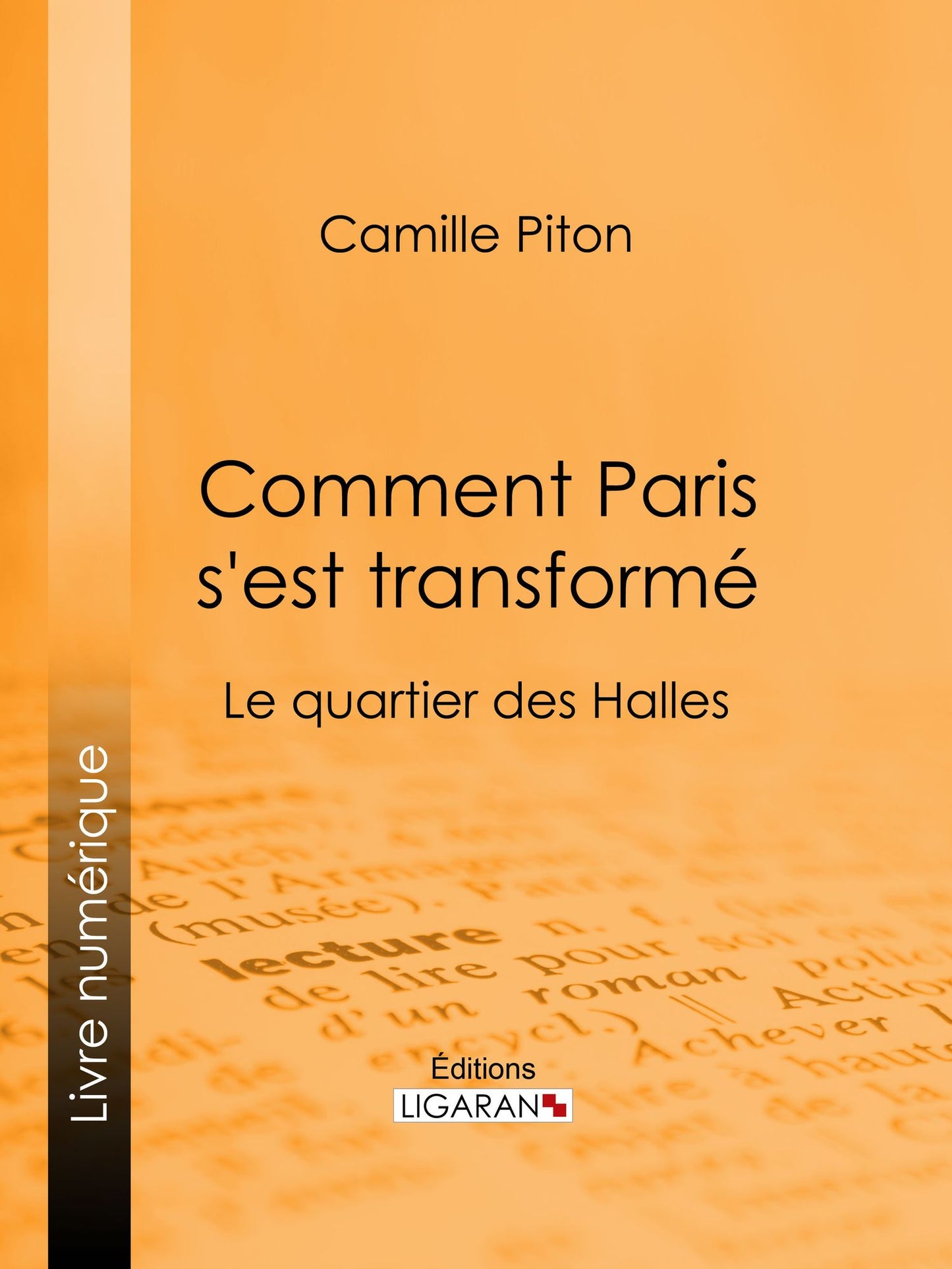 Comment Paris s'est transformé: Topographie, moeurs, usages, origines de la haute bourgeoisie parisienne : le quartier des Halles