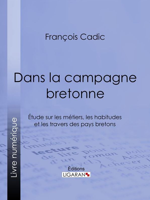 Dans la campagne bretonne: Étude sur les métiers, les habitudes et les travers des pays bretons