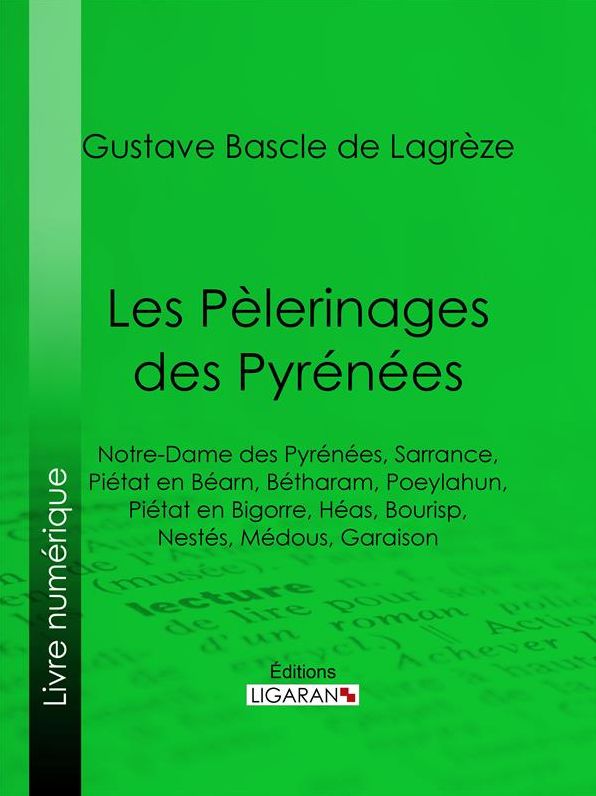 Les Pèlerinages des Pyrénées: Notre-Dame des Pyrénées, Sarrance, Piétat en Béarn, Bétharam, Poeylahun, Piétat en Bigorre, Héas, Bourisp, Nestés, Médous, Garaison