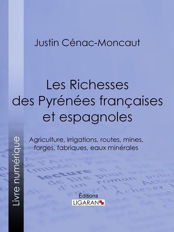 Les Richesses des Pyrénées françaises et espagnoles: Ce qu'elles furent, ce qu'elles sont, ce qu'elles peuvent être - Agriculture, irrigations, routes, mines, forges, fabriques, eaux minérales