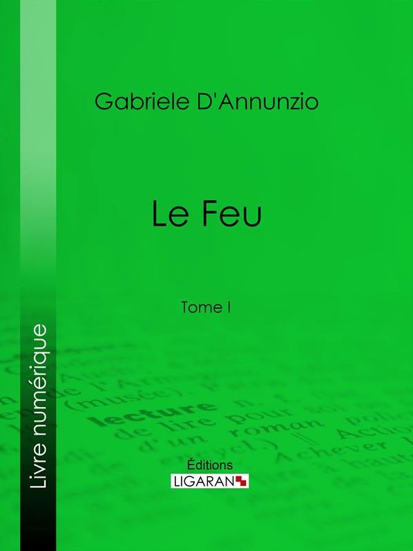 Le Feu: Tome I