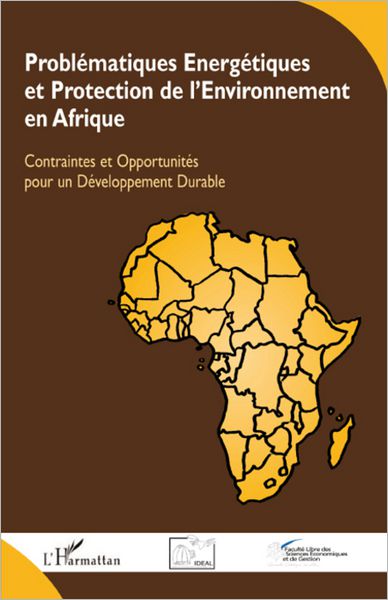 Problématiques Energétiques et Protection de l'Environnement en Afrique: Contraintes et Opportunités pour un Développement Durable