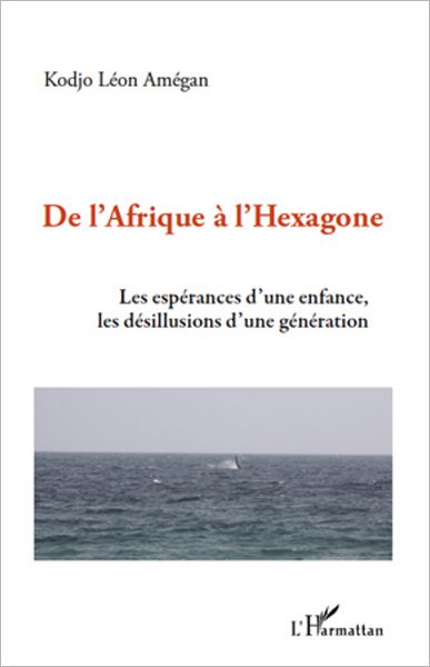De l'Afrique à l'hexagone: Les espérances d'une enfance, les désillusions d'une génération