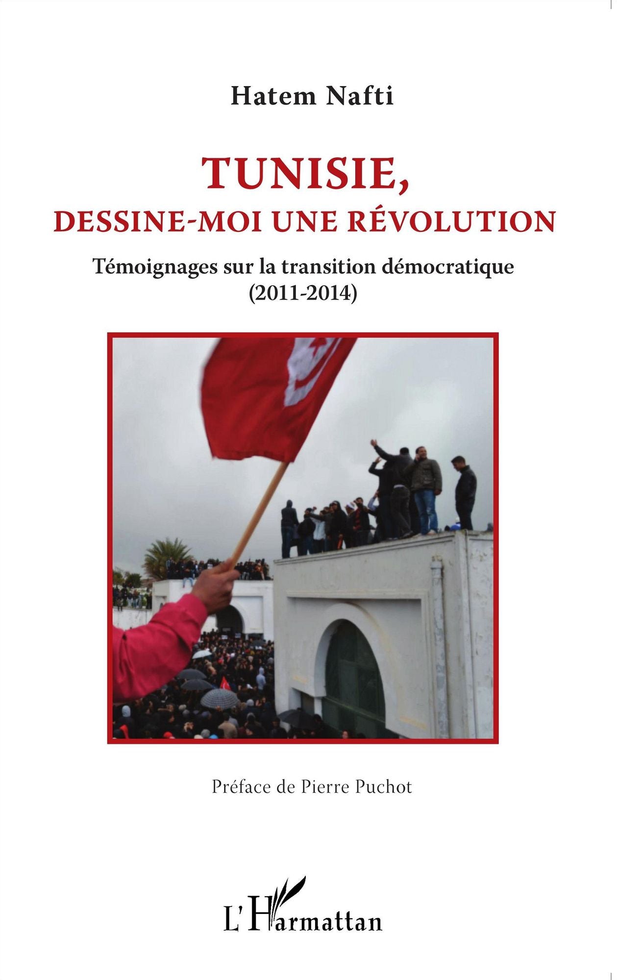Tunisie, dessine-moi une révolution: Témoignages sur la transition démocratique (2011-2014)