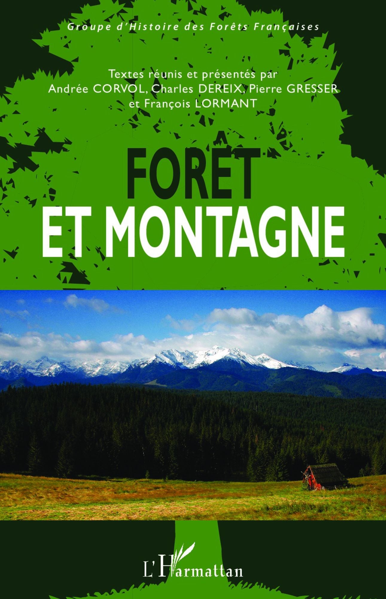 Forêt et montagne
