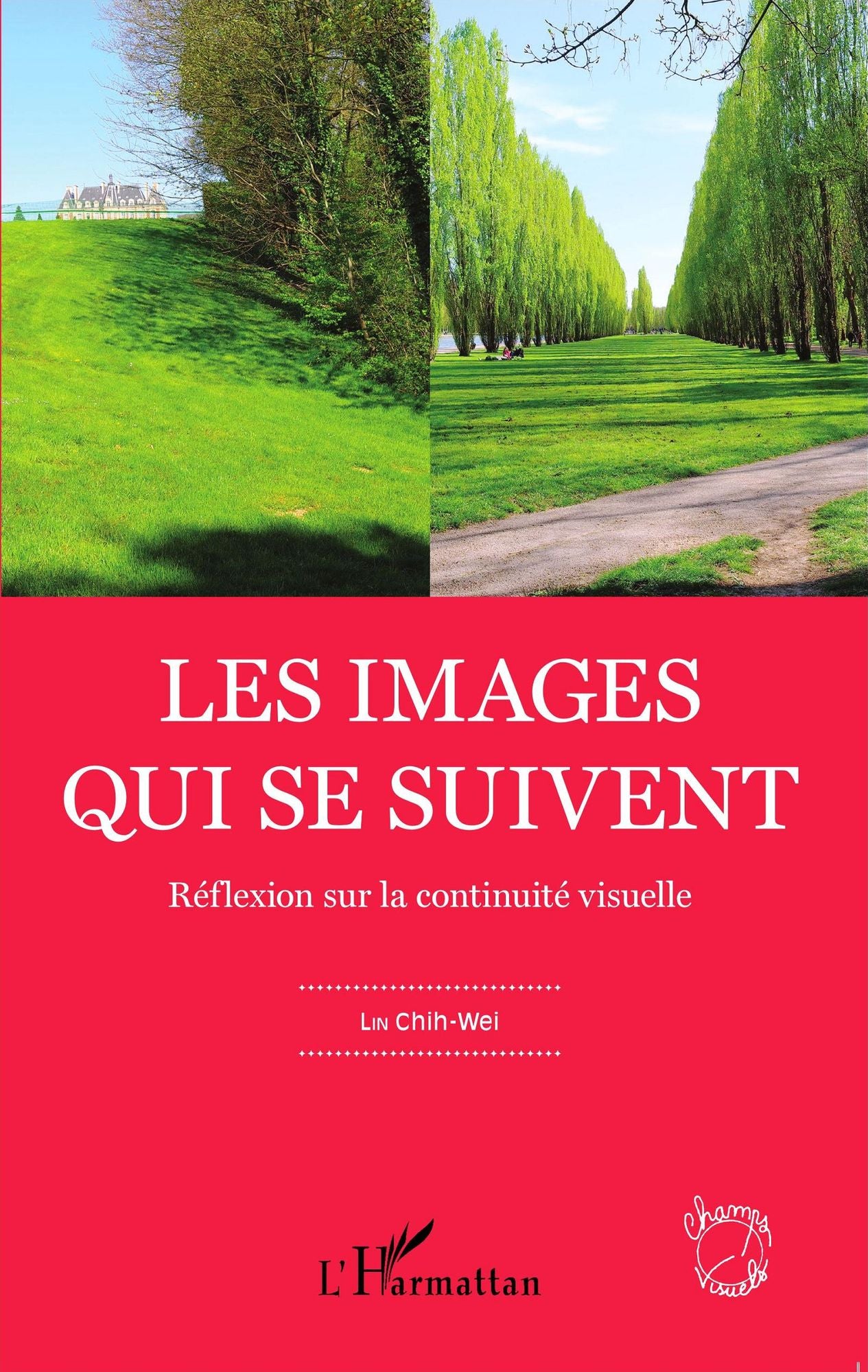 Les images qui se suivent: Réflexion sur la continuité visuelle