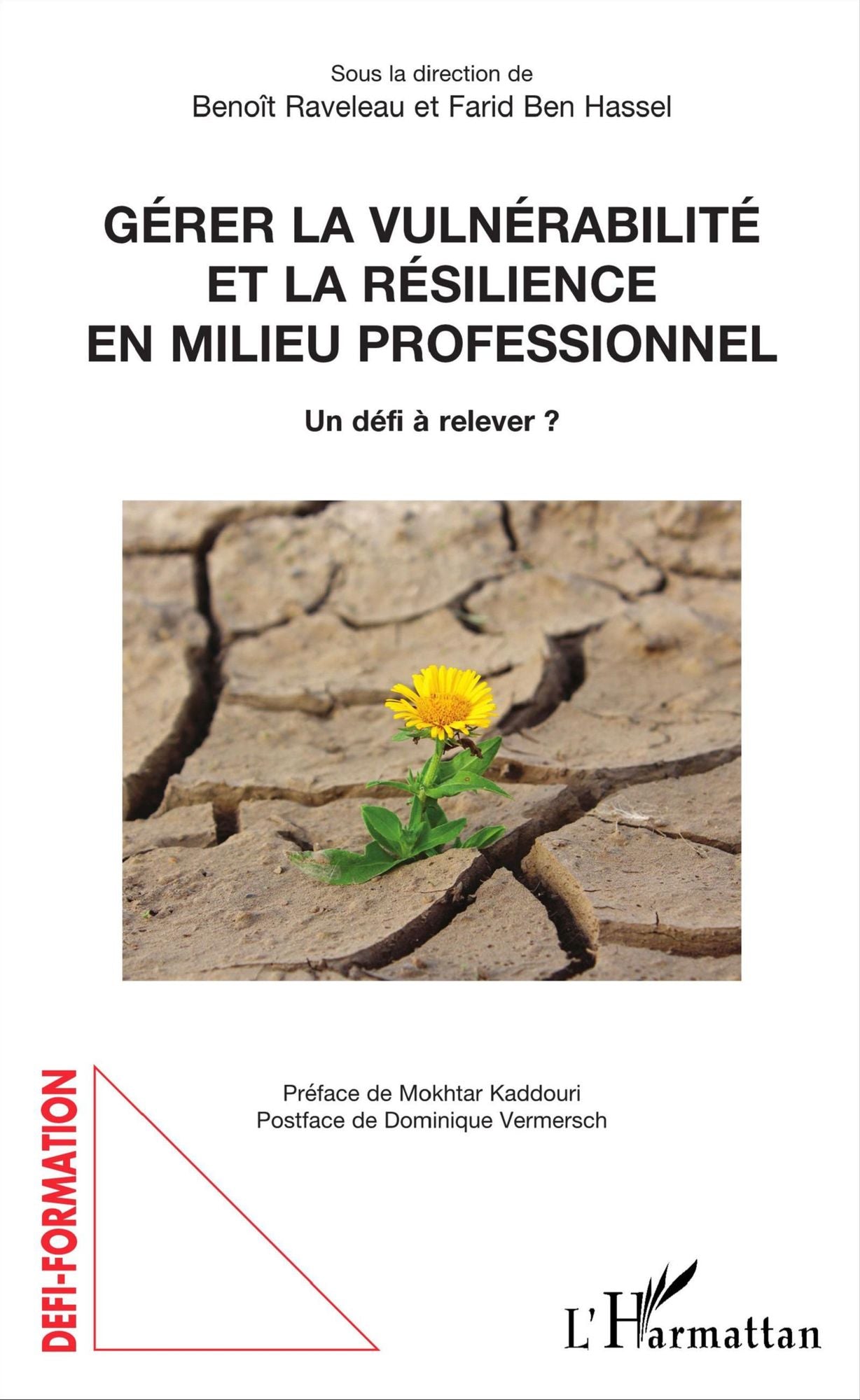 Gérer la vulnérabilité et la résilience en milieu professionnel: Un défi à relever ?