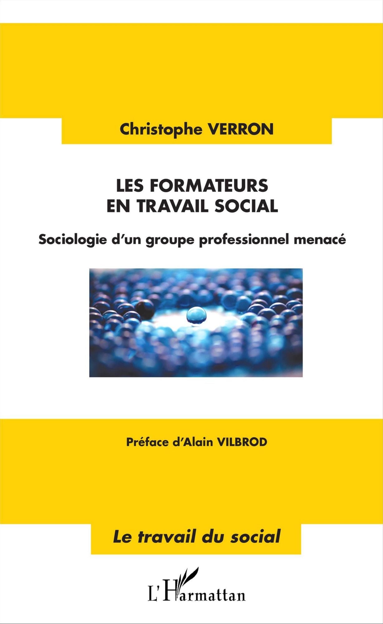 Les formateurs en travail social: Sociologie d'un groupe professionnel menacé