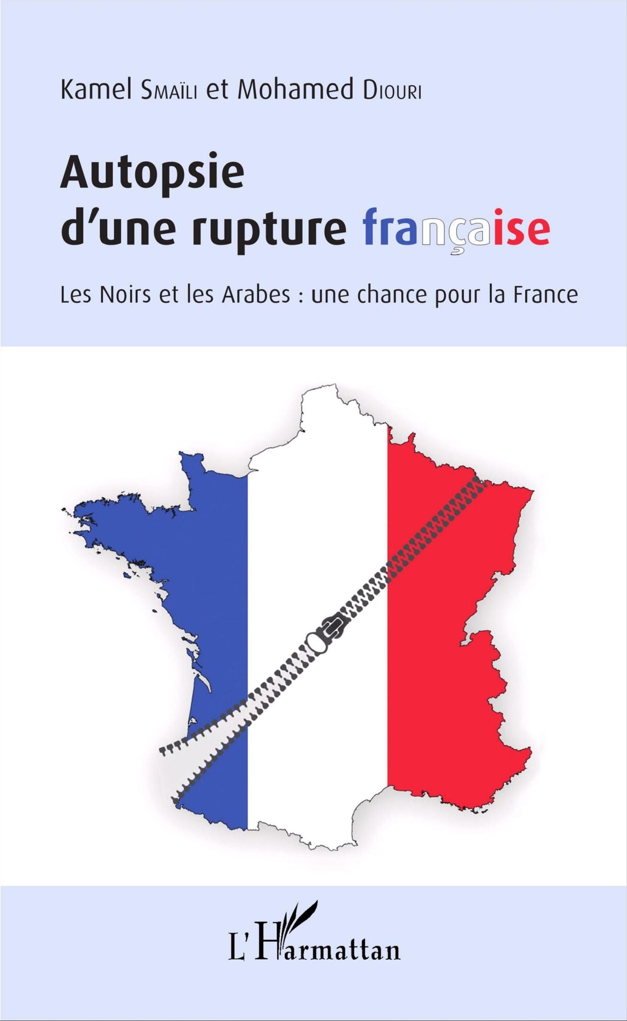Autopsie d'une rupture française: Les Noirs et les Arabes : une chance pour la France