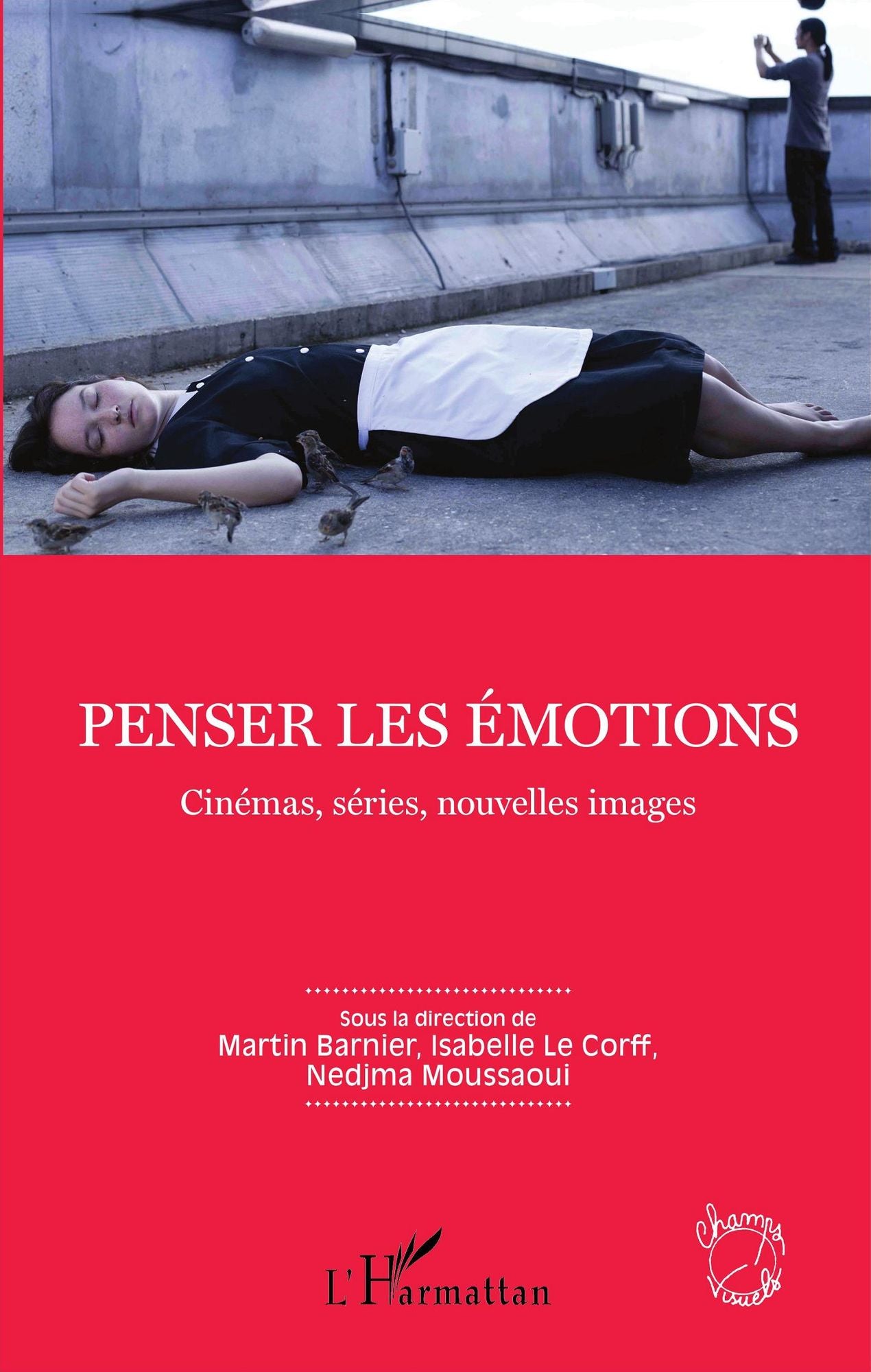 Penser les émotions: Cinémas, séries, nouvelles images