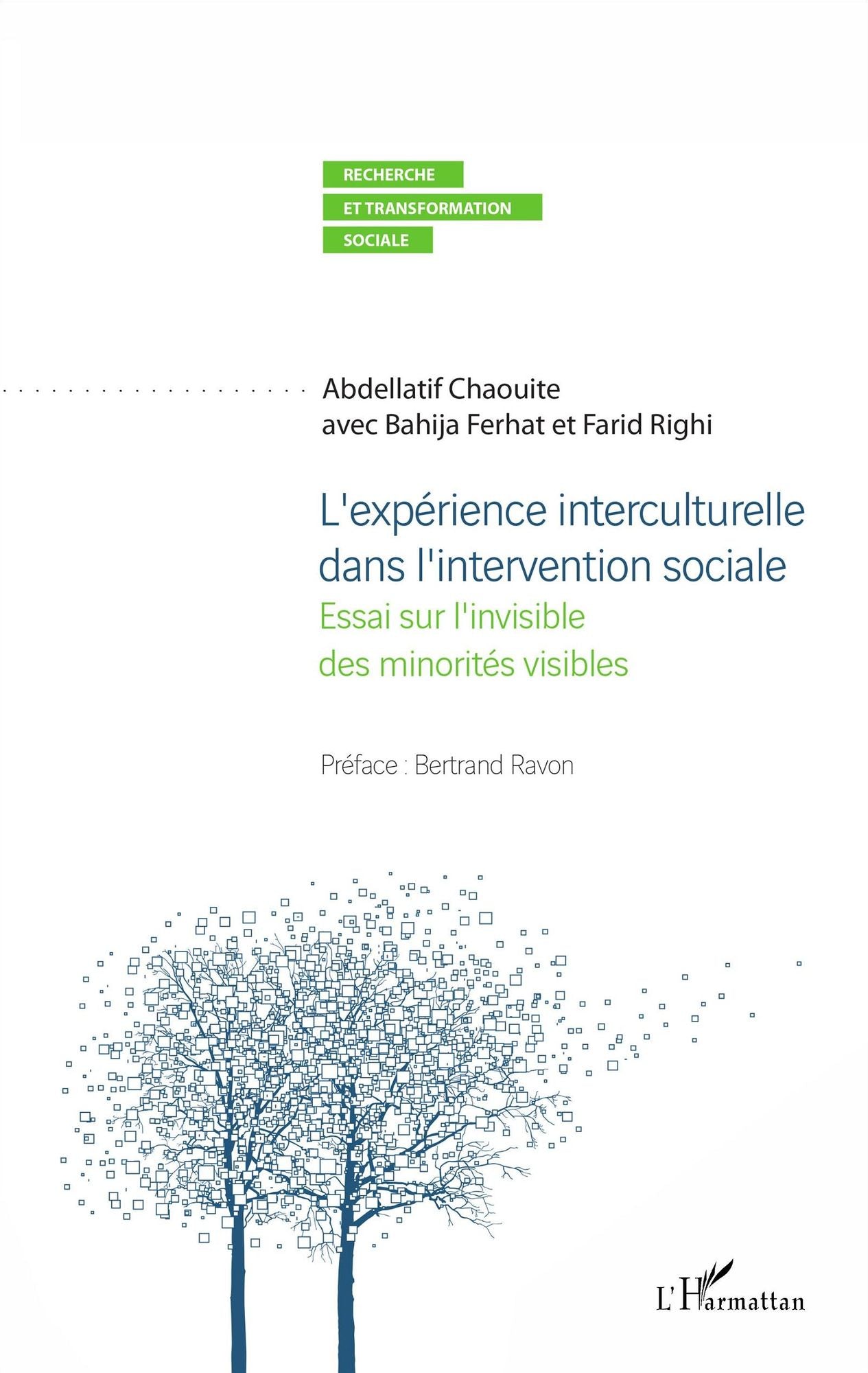 L'expérience interculturelle dans l'intervention sociale: Essai sur l'invisible des minorités visibles