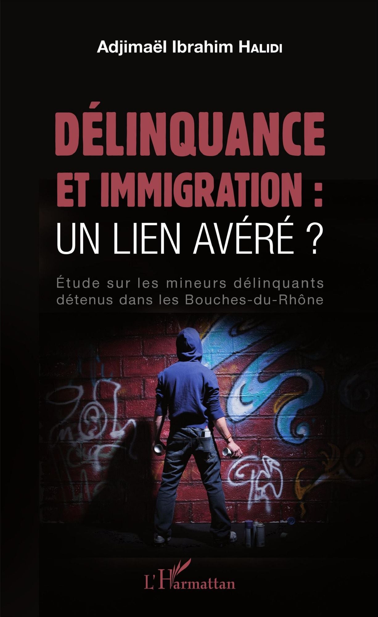 Délinquance et immigration : un lien avéré ?: Étude sur les mineurs délinquants détenus dans les Bouches-du-Rhône