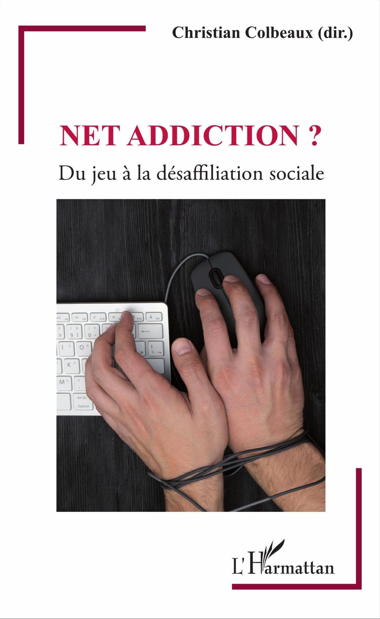 Net addiction ?: Du jeu à la désaffiliation sociale