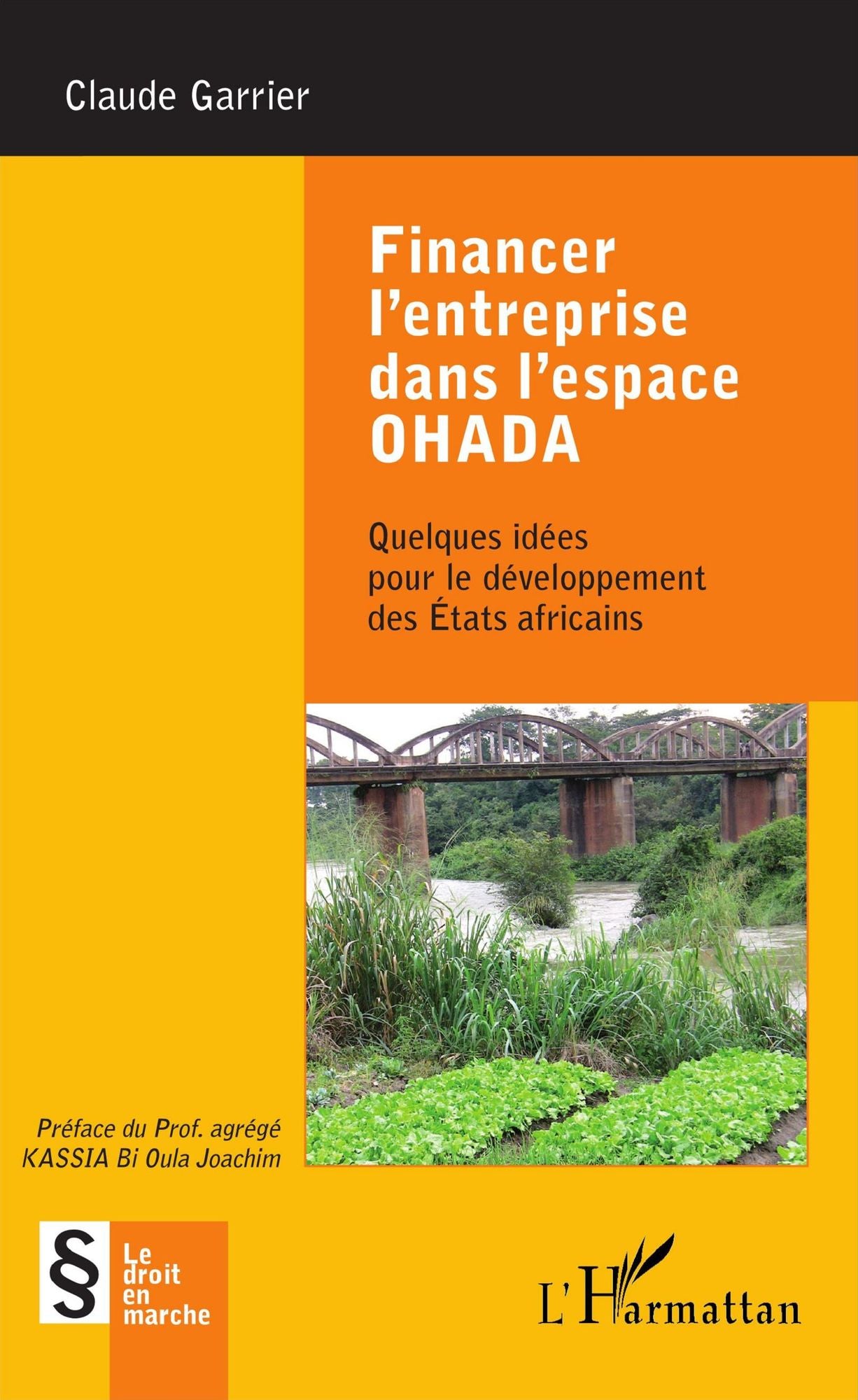 Financer l'entreprise dans l'espace OHADA: Quelques idées pour le développement des États africains