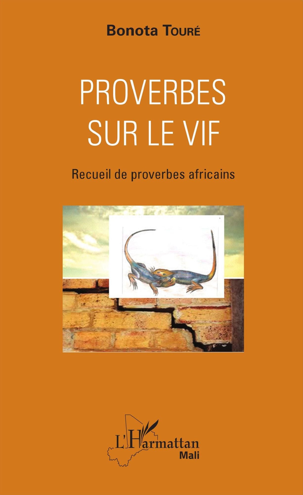 Proverbes sur le vif: Recueil de proverbes africains