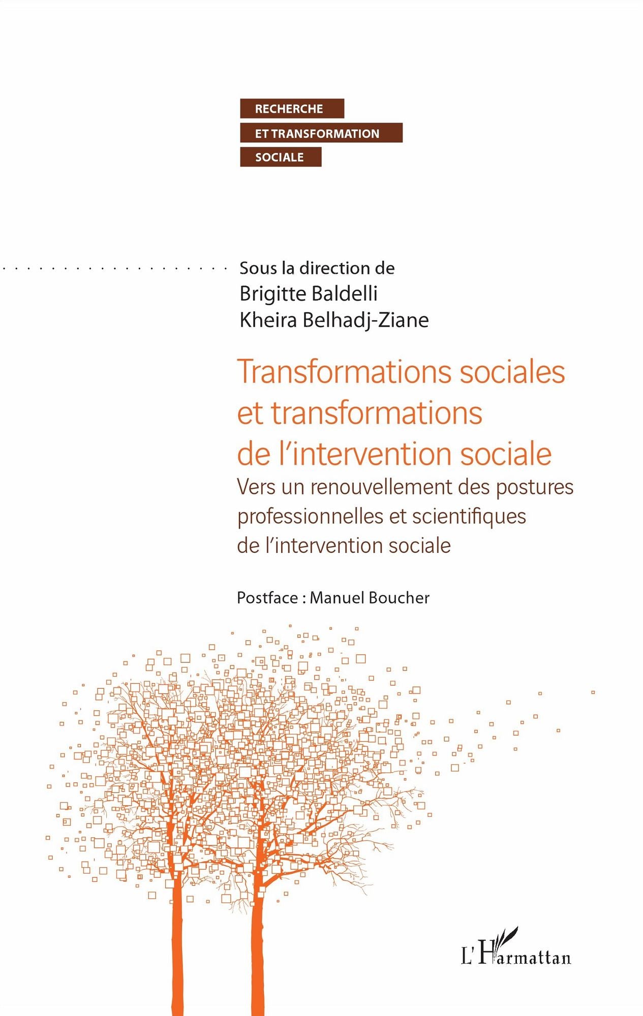 Transformations sociales et transformations de l'intervention sociale: Vers un renouvellement des postures professionnelles et scientifiques de l'intervention sociale